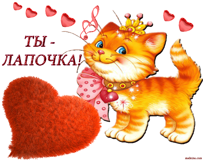Lapochka.gif (785×623)