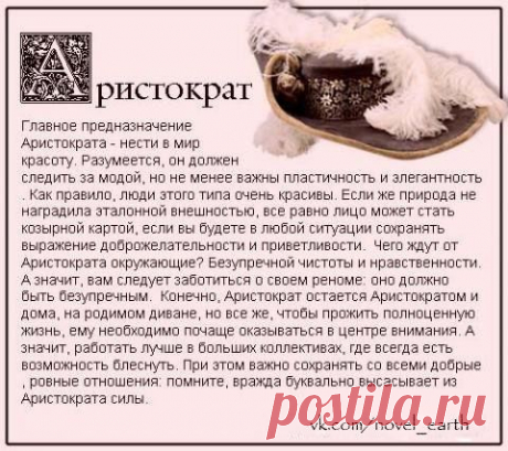 Мой Мир@Mail.Ru