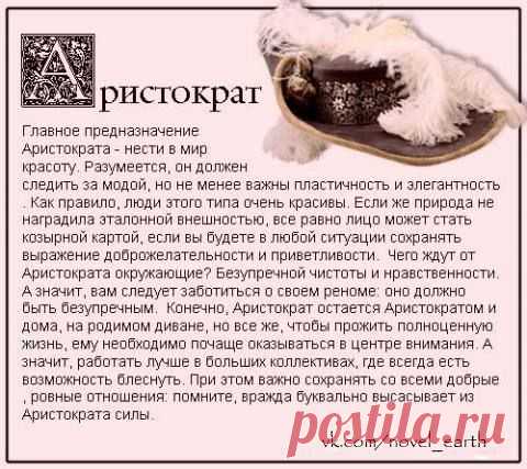 Мой Мир@Mail.Ru