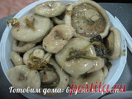 Как солить белые грузди))РЕЦЕПТ В ГРУППЕ ЗАХОДИМ СМОТРИМ ))
