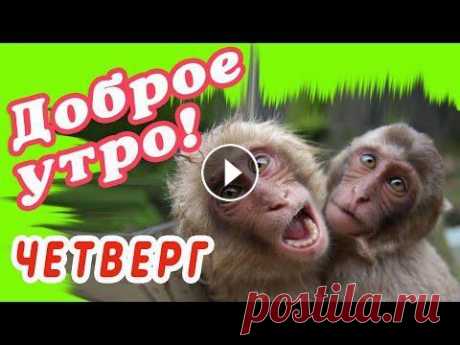 ЧЕТВЕРГ  ЧЕТВЕРГ...