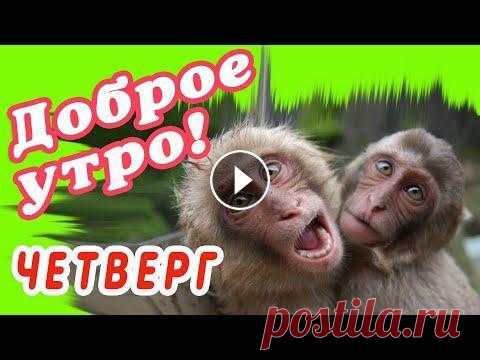 ЧЕТВЕРГ  ЧЕТВЕРГ...