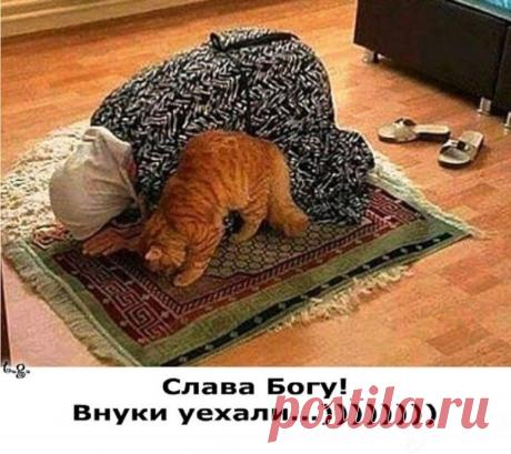 Комментарии к теме