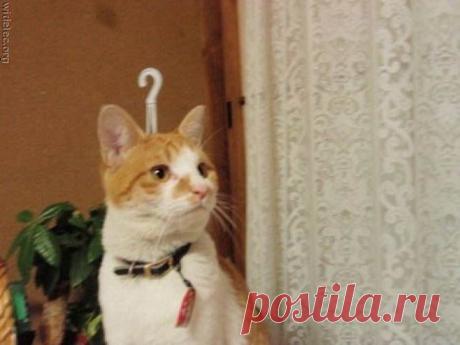 - Так... Надо мотать и быстро... Зашухерили... А вот куда??? Ведь все двери закрыли....