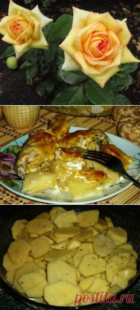 (49) Одноклассники