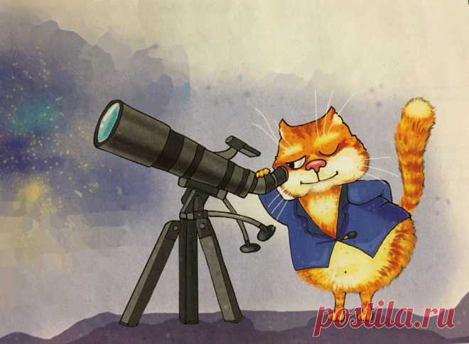 Блог Кота Моти. Котовый гороскоп . Год хозяйствиннава Ката.