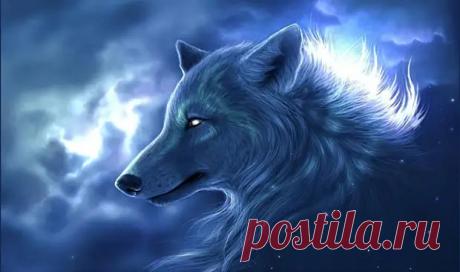 (3) Знаки зодиака, живущие по волчьим законам - Гороскоп - медиаплатформа МирТесен