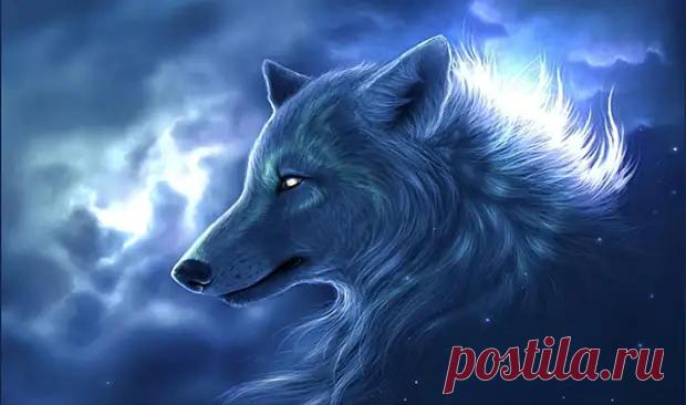 (3) Знаки зодиака, живущие по волчьим законам - Гороскоп - медиаплатформа МирТесен