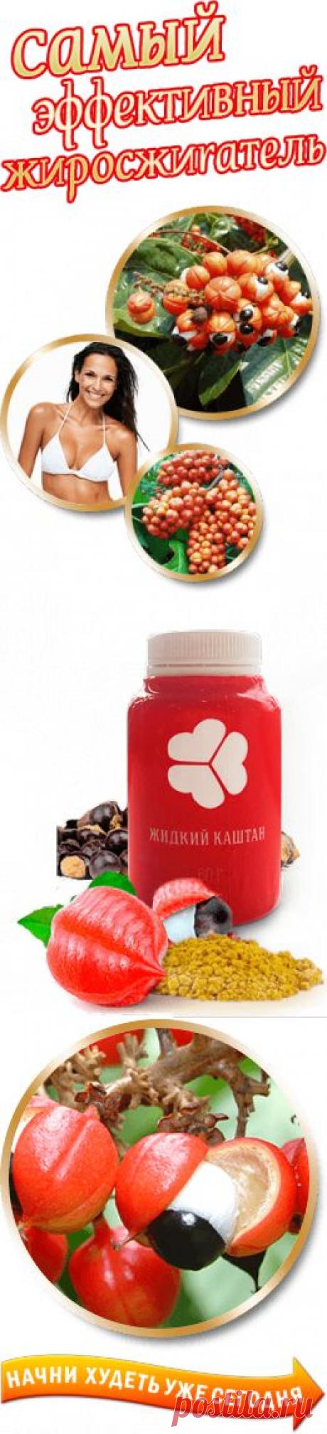 Жидкий Каштан. Эффективное похудение без вреда для здоровья.