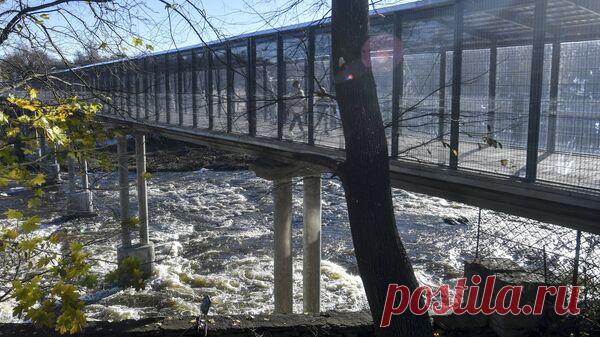Эстонские пограничники заявили, что не впустили из России четверых сирийцев