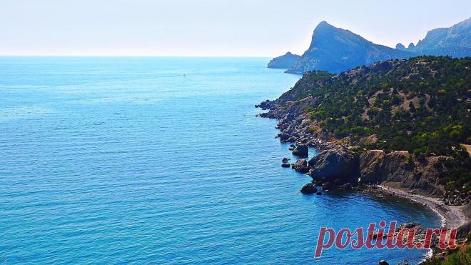 (50) Одноклассники