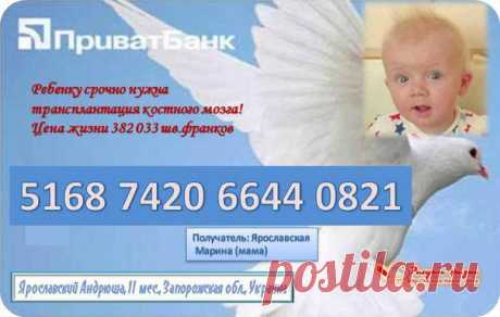 РИСУЕМ ЖИЗНЬ! Андрюша Ярославский, сбор до 12.12