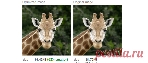 Web Resizer - Making Photos Faster - Optimize pictures for websites and email


Как уменьшить вес фото онлайн

Как уменьшить вес фото в режиме онлайн?  Довольно просто! Просто откройте сайт по этой ссылке.

Согласитесь, что такая проблема иногда возникает. Уменьшить вес фотографии онлайн можно воспользовавшись сервисом Web Resizer.com который уменьшит ваше изображения как в формате в формате jpeg(обычные картинки, фото), так и gif(анимация) и даже png(прозрачный фон).