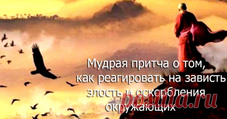 Мудрая притча, как отвечать на злость, оскорбления и зависть &amp;raquo; Женский Мир