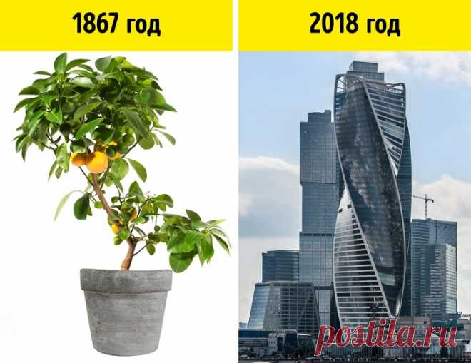 5 открытий, которые были сделаны почти случайно и изменили историю человечества