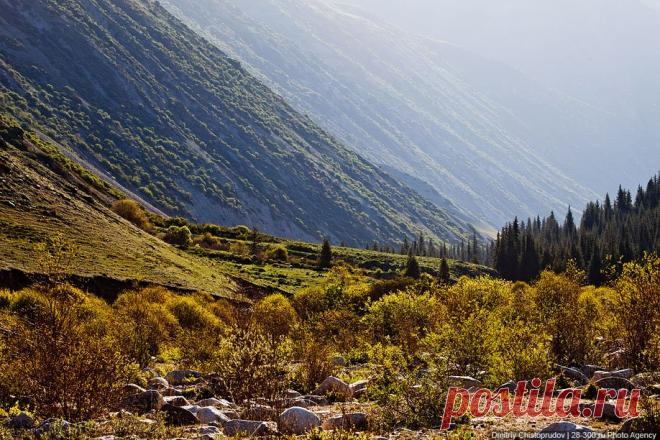 Григорьевское ущелье Иссык-Куля | ФОТО НОВОСТИ