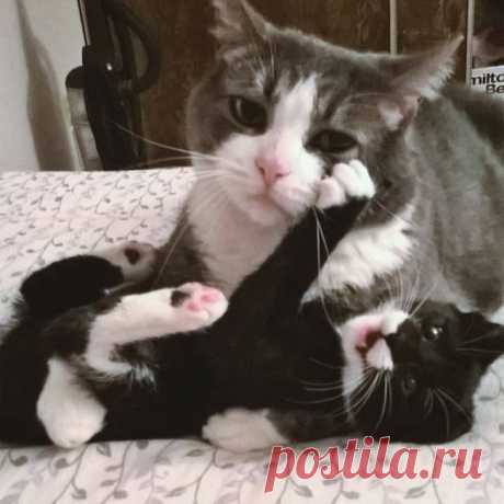 (7) Facebook