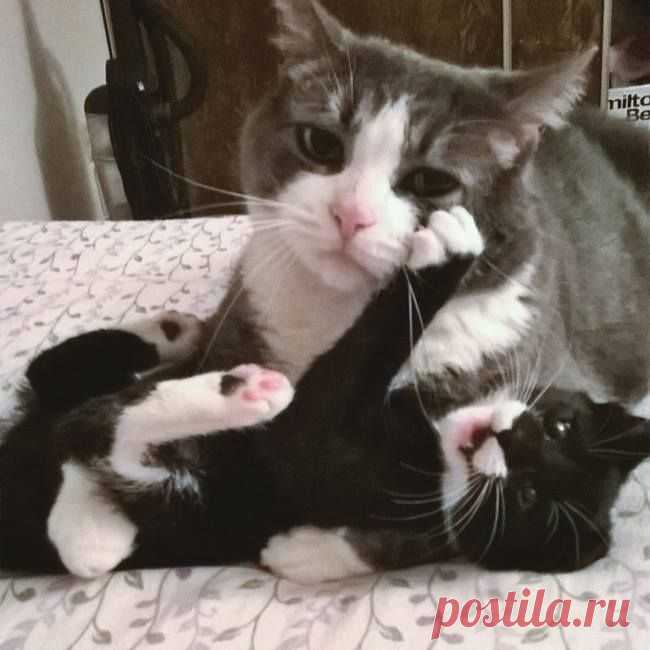 (7) Facebook