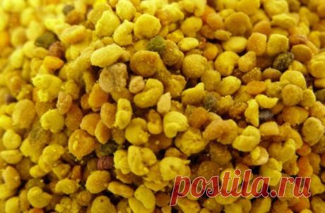 Полезные Свойства Пчелиной Перги и Способы Применения Пчелиная перга или «пчелиный хлеб» – удивительный дар природы, который создают маленькие жужжащие труженицы. Каждый из нас слышал про мед и его целебные