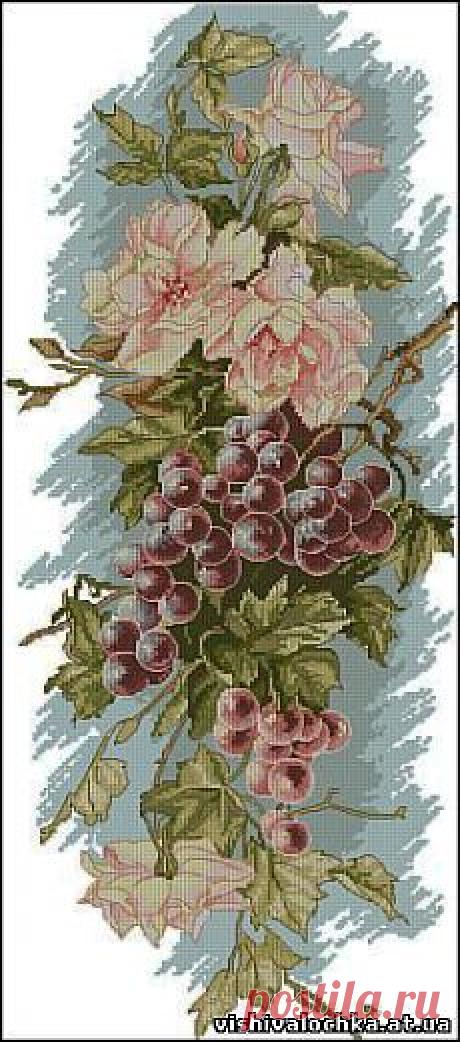 Панелька с виноградом - Фрукты, Овощи, Натюрморт - Флора - СХЕМЫ - ВЫШИВКА КРЕСТОМ