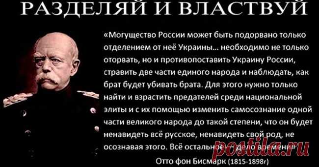 29 Пальм - Клуб путешествий Павла Аксенова > Блог Павла Аксенова