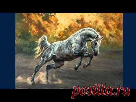 Анимализм - YouTube