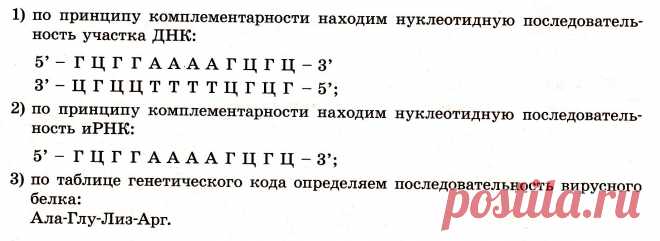 Задания части 2 ЕГЭ по теме «Задачи на биосинтез белка»