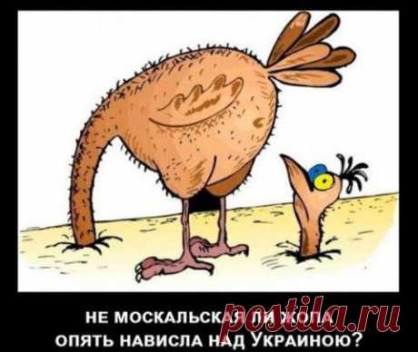 Родственники-свидомиты недоумевают, как можно наказывать пленного карателя Олега Микаца » Политикус - Politikus.ru