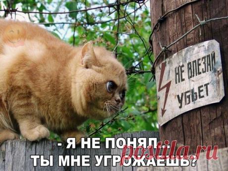 Остров Смеха