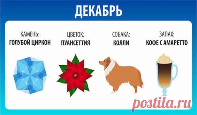 В каком месяце вы родились? Ответ раскроет поразительные секреты! В каком месяце вы родились? Ответ раскроет поразительные секреты!Месяц рождения человека производит некое влияния на его жизнь. Этот гороскоп