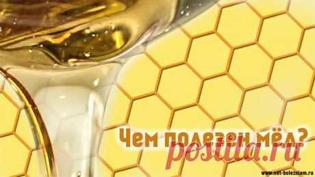 В чём польза мёда: 7 главных его свойств и кому нельзя его есть? 

Мёд - слаще и калорийнее сахара, но всё-таки он считается полезнее последнего.

Натуральный мёд является полезнее промышленного, по причине того что в промышленности этот продукт проходит пастеризацию, теряя таким образом полезные химические свойства.