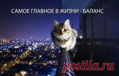 [Фишки] Жизни