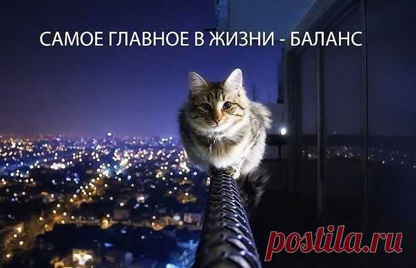 [Фишки] Жизни