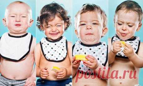 В уфимском аэропорту у пассажира изъяли саженцы лимона:
https://ufa1.ru/text/newsline/889252.html?utm_source=ok&amp;utm_medium=og&amp;utm_campaign=smm