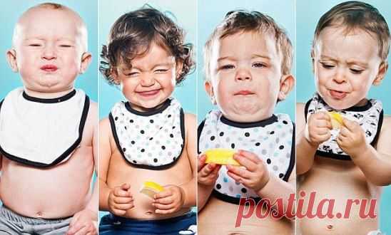 В уфимском аэропорту у пассажира изъяли саженцы лимона:
http://ufa1.ru/text/newsline/889252.html?utm_source=ok&utm_medium=og&utm_campaign=smm