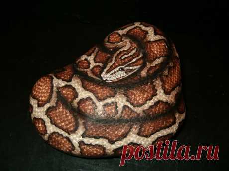 Hand Painted Rock Art - Burmese Python Snake