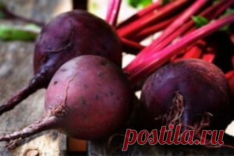 Кто ест свеклу на грядке в земле и как с этим бороться? 5 почвенных вредителей, которые лишают вас урожая картофеля и корнеплодов. Подземные вредители в огороде грызут картофель, морковь, свеклу, редис, лишая вас надежды на урожай? Мы расскажем, кто именно из насекомых губит ваши корнеплоды и как бороться с вредителями на участке, применяя самые разные способы. Сильнее всего подземным посадкам вредят медведка, проволочник (личинка жука-щелкуна), хрущ (личинка майского жука...