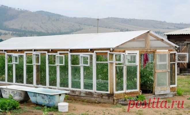 7 шагов: теплица из оконных рам | Своими руками (Усадьба)