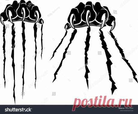 Animals | Studio77 FX vector: коллекция стоковых фотографий и изображений | Shutterstock