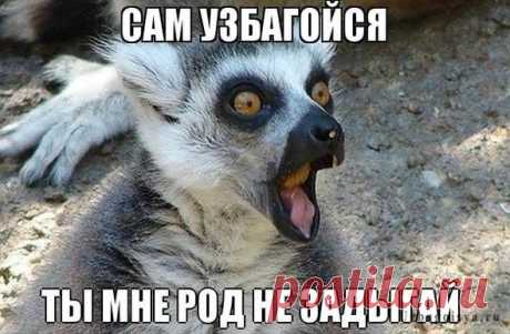 Всяко - разно 149 )))