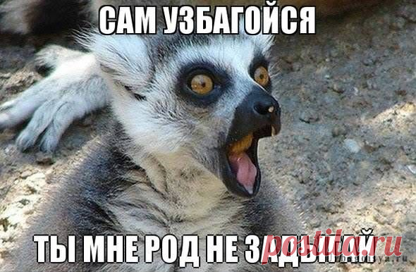 Всяко - разно 149 )))