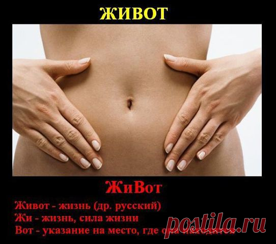 Мой Мир@Mail.Ru