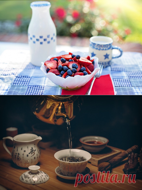 Как правильно вести здоровый образ жизни. Советы по ЗОЖ