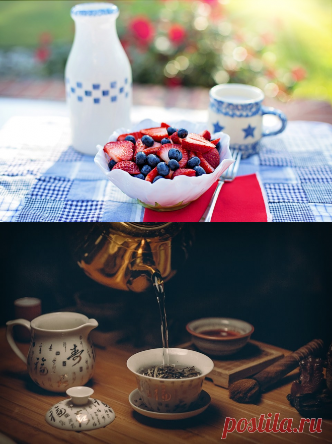 Как правильно вести здоровый образ жизни. Советы по ЗОЖ