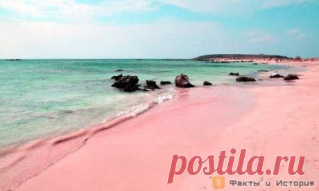 Пляж на Багамских островах "Pink sands beach" с розовым песком, одно из самых красивых мест в мире.
Розовый цвет песку придают мелкие, размельченные крупинки раковин Фораминифер, это одноклеточные организмы, обитающие в нижней части рифов, под камнями и в пещерах прибрежного дна океана, панцирь которых окрашен в ярко-розовые или красные тона.