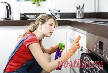КАК ДЁШЕВО И БЫСТРО НАВЕСТИ НА КУХНЕ ИДЕАЛЬНЫЙ ПОРЯДОК: