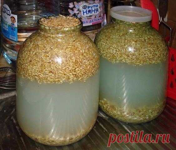 Квас из овса