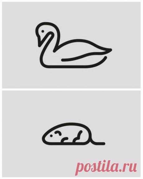 Легко и просто рисуем различных животных / Занимательная реклама