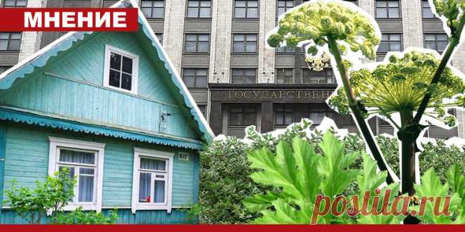 2024--Введения ШТРАФОВ за НЕИСПОЛЬЗОВАНИЕ садовых УЧАСТКОВ.