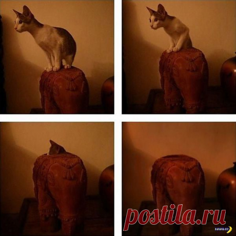 ДАВАЙТЕ В ПРЯТКИ ПОИГРАЕМ!!!